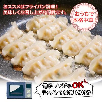 ふるさと納税 南魚沼市 新潟県 南魚沼市 チルド手焼き餃子 8個入り × 6パック 計48個 ケンちゃん餃子 |  | 02
