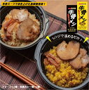 【ふるさと納税】牛骨メシ 2種 4個セット（プレーン味・鳥取カレー味 250g×各2個）【24-012-025】【電子レンジで温めるだけ】Ties 鳥取県産米使用 大山産の豚肉 丼 どんぶり 夕飯 ランチ 自家製チャーシュー 簡単調理 お取り寄せ グルメ 鳥取県 米子市 12000円 数量限定