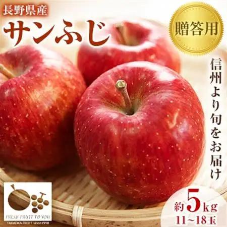 ~信州中野の旬をお届け~ サンふじ　贈答用　約5kg(11～18玉)【高丘フルーツ】【1297195】