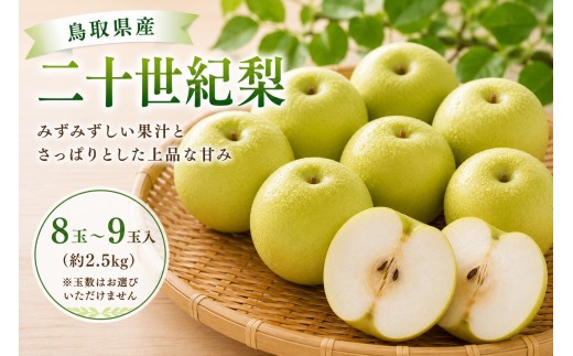 
                  鳥取県産 二十世紀梨 約2.5キロ【鳥取県 境港市】
                