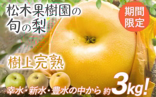 数量限定 旬の梨 約3kg 幸水 豊水 新水 松木果樹園 7月下旬～9月上旬 順次出荷予定 農家直送 樹上完熟 甘い ジューシー フルーツ 果物 果汁 ギフト 福岡県 福岡 九州 グルメ お取り寄せ