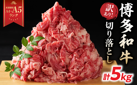 訳あり！【A4～A5】博多和牛切り落とし 5kg(500g×10P） 博多和牛 しゃぶしゃぶ すき焼き 肩 バラ 和牛 国産 牛肉 牛 A4 A5 214-021