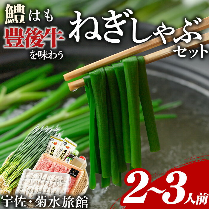 【ふるさと納税】ねぎしゃぶ(6品)ねぎしゃぶ しゃぶしゃぶ 豊後牛 鱧 はも 鍋 お鍋 セット【101500301】【菊水旅館】