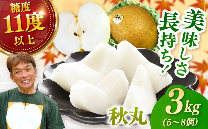 【化粧箱入り】秋丸（王秋）5-8個入（約3kg） / 梨 / 佐賀県 / 大川三世代 [41AEAB011]