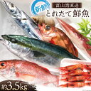 【ふるさと納税】魚 富山湾直送 とれたて鮮魚セット 約3.5kg 旬 新鮮 鮮魚 詰め合わせ 産地直送 冷蔵/くろべ漁業協同組合 魚の駅「生地」/富山県 黒部市　【 海鮮 魚介類 魚介 セット 】