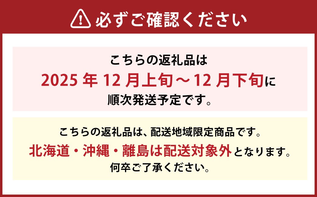 温州みかん L～S 約5kg（816）