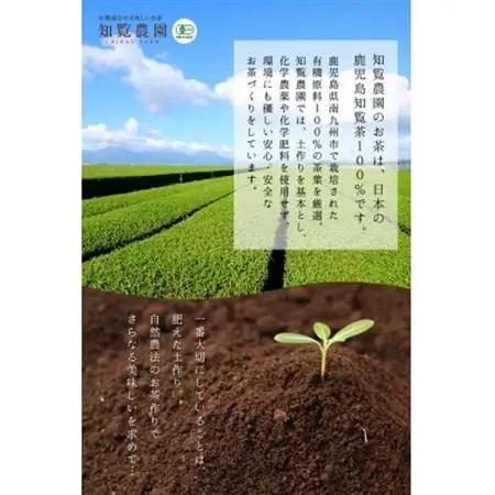 知覧有機緑茶「野花」5本入【1186237】