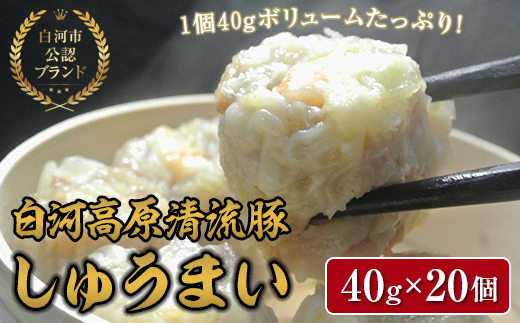 
「白河高原清流豚」をメイン食材としたしゅうまい 1個40gとボリューム感のある一品（20個入り） F21R-090
