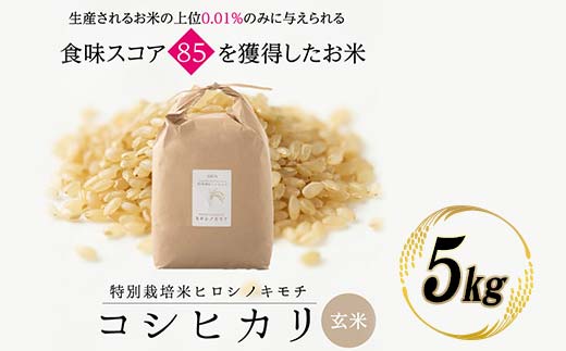 特別栽培米 コシヒカリ ヒロシノキモチ 玄米 5kg ブランド米 銘柄米 国産 米 お米 日本米 ギフト 贈り物 備蓄 防災 食品 陽咲玲 はるざれ F6T-988