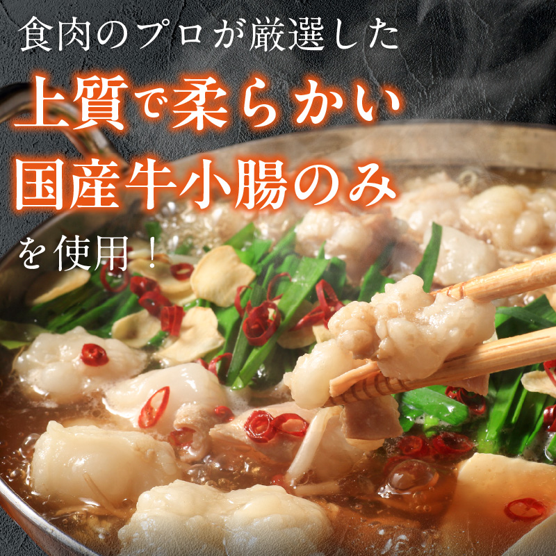 【食肉総合卸 丸正】厳選国産牛のもつ鍋セット（3人前） 