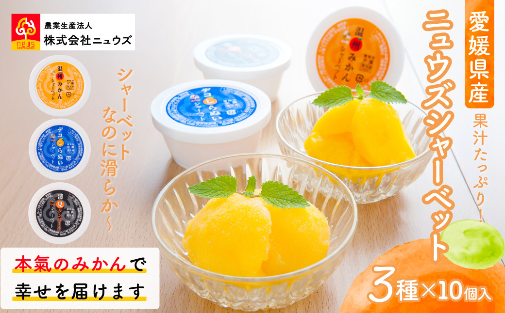 
                  果汁たっぷり！シャーベットなのに滑らかな口当たりニュウズシャーベット3種10個 ※離島への配送不可 【 ふるさと納税 人気 おすすめ ランキング みかん ミカン 蜜柑 シャーベット ニュウズ 愛媛県産 愛媛県 伊方町 送料無料 】 IKTF025
                