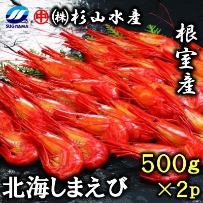 ふるさと納税 根室市 【北海道根室産】北海しまえび500g(28〜34尾)×2P F-75001