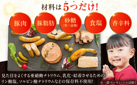 【全2回定期便】【訳あり】【結着剤・発色剤・保存料不使用】 放牧豚 ボロニア厚切りスライスソーセージ 3枚x10セット（130g/パック） 訳あり ソーセージ ウインナー 無塩せき 冷凍配送 セット 