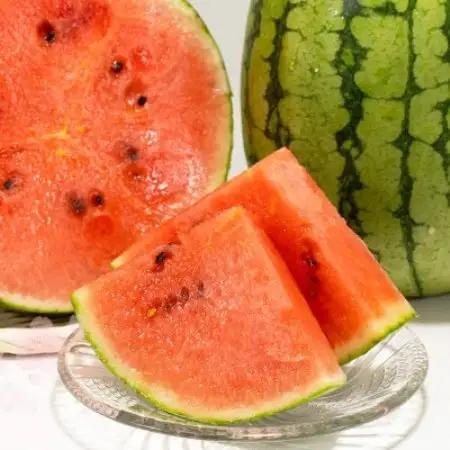 【訳あり】 大玉すいか 5kg 1玉(益城町)【配送不可地域：離島】【1736972】