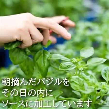 濃厚・無添加　バジルソース(ジェノベーゼソース)　パックタイプ　100g×3袋【配送不可地域：離島】【1519757】