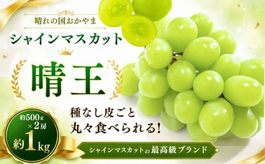 岡山県産 シャインマスカット晴王 約500g×2房 約1kg | フルーツ 果物 くだもの ぶどう ブドウ シャインマスカット 晴王 国産 岡山県産 食品 人気 おすすめ ギフト 贈り物 贈答品 プレゼント 果物 くだもの フルーツ ぶどう ブドウ マルトウ促成青果【mrts006-01】