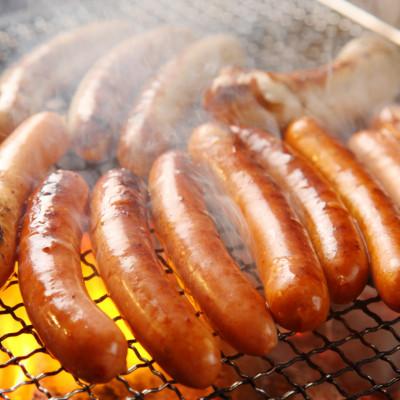 ふるさと納税 内子町 愛媛県内子町の道の駅からりの人気燻製商品詰め合わせ!内子豚ハム・ソーセージセット 1 |  | 03