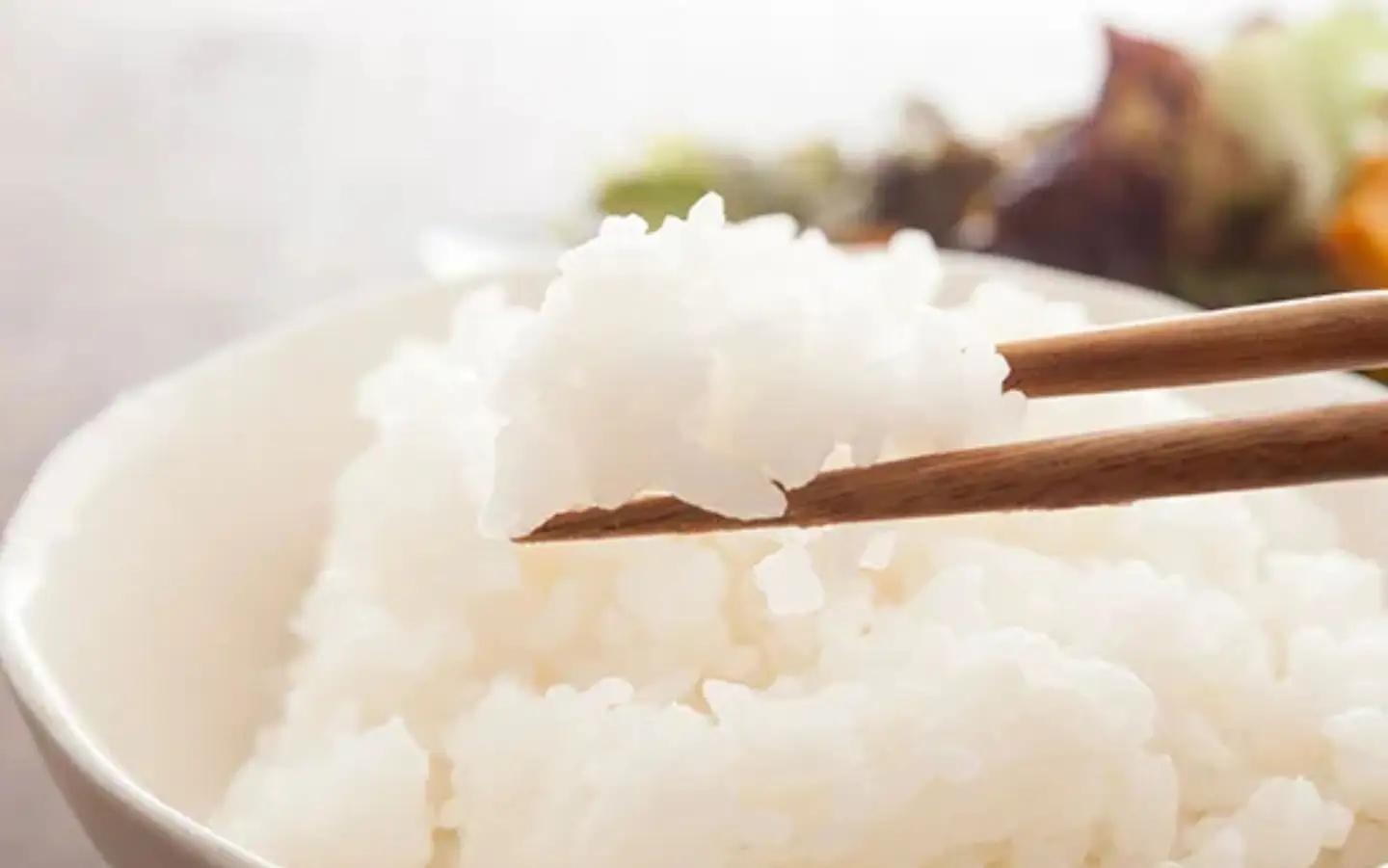 【令和８年産 先行予約】特A連続受賞 きぬむすめ 玄米（30kg × 1袋）きぬむすめ お米 玄米 特A タンポポ農園 岡山県産 【tppn012-02】