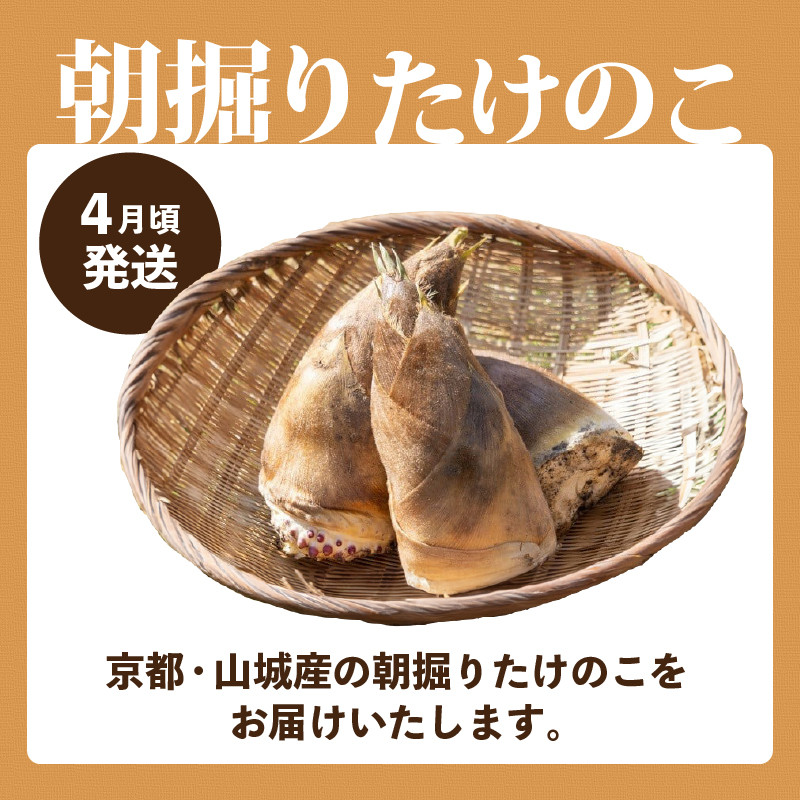 たけのこ水煮