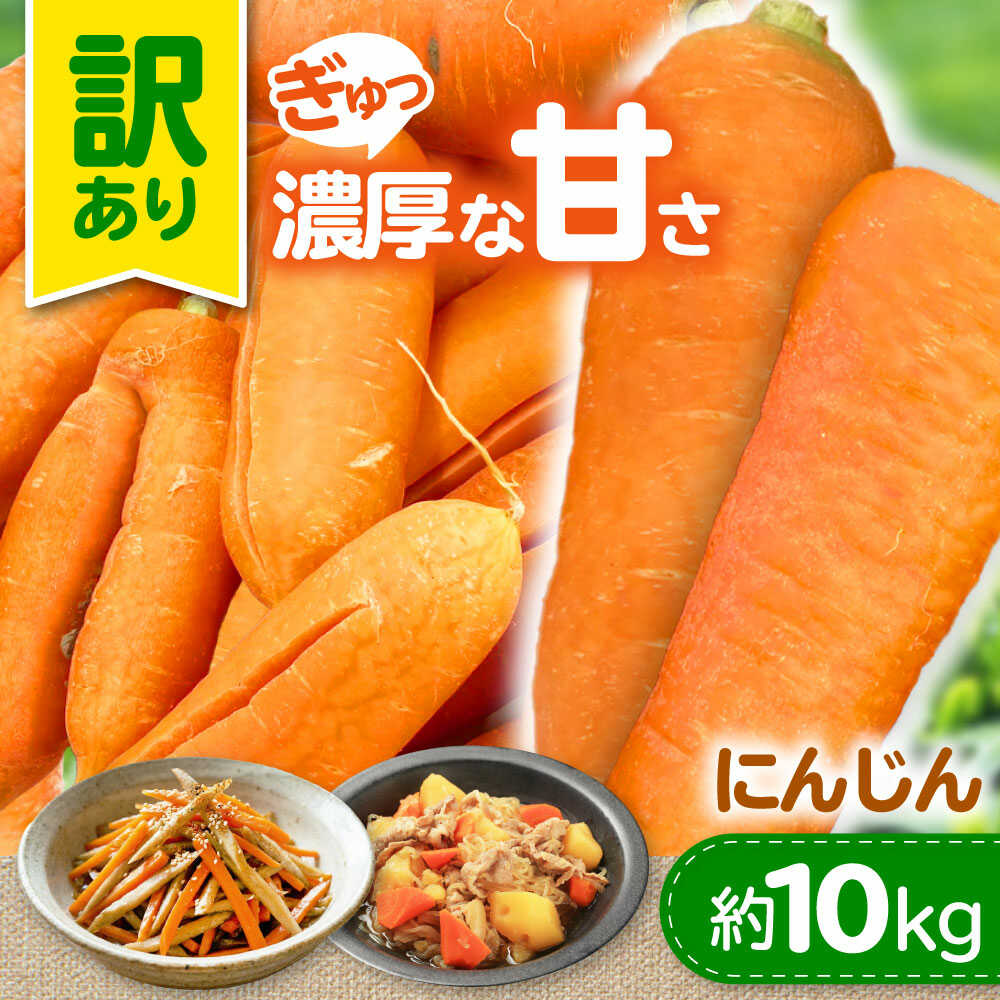 【ふるさと納税】【先行予約】【2026年5月上旬から順次発送】訳アリ にんじん 10kg 愛媛県大洲市/株式会社誠実村[AGER001]にんじん 人参 ニンジン 訳アリ にんじん 人参 ニンジン 訳アリ 訳あり わけあり 野菜 ベジタブル 美味しい おいしい 甘い 根菜 料理 大容量