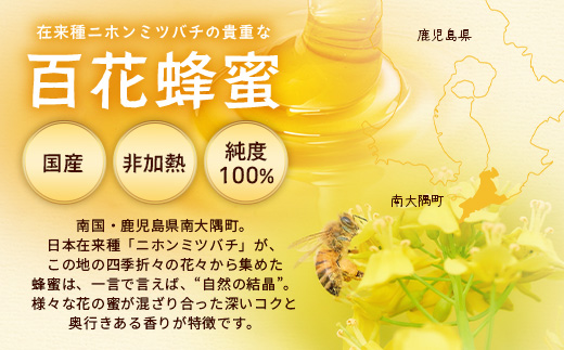 【数量限定】【先行予約・2025年8月発送】日本ミツバチのはちみつ　580g