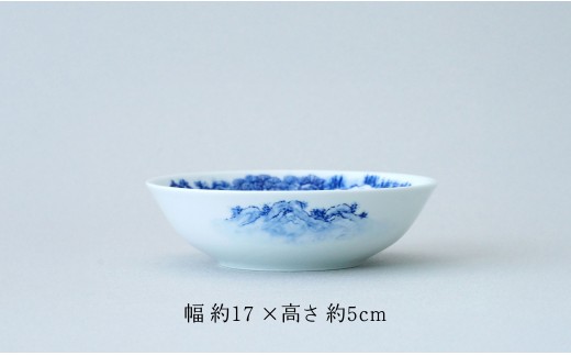 有田焼 山水絵 浅平鉢【起山窯】食器 器 うつわ 鉢 17センチ 手描き 染付 山水絵 ギフト プレゼント co020
