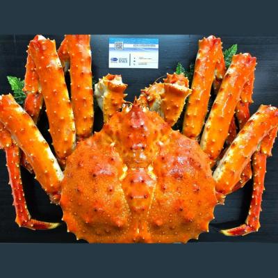 ふるさと納税 紋別市 たらばがに姿 4.3kg |  | 01