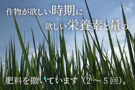 【令和5年度産】【特別栽培米】福井県産 ミルキークイーン 10kg ～化学肥料にたよらない100%の有機肥料～ ネオニコフリー（白米）[A-13406_01]