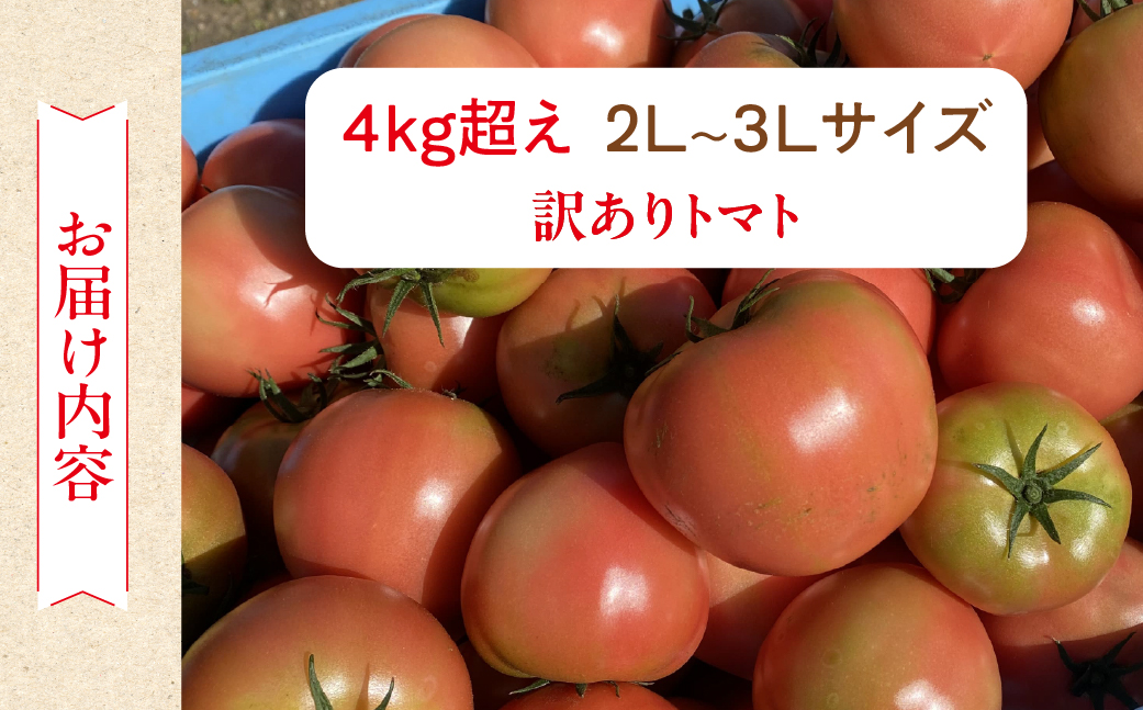  先行予約  訳あり（2026年7月上旬頃から順次発送）大黒屋農園 甘塾トマト 麗月 2Ｌ～3Ｌ 大サイズ 4kg以上 レイゲツ とまと 下呂市 期間限定【大黒屋農園】【119-5】  訳ありトマト 