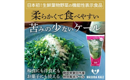 ソフトケールGABA（100g×10袋）