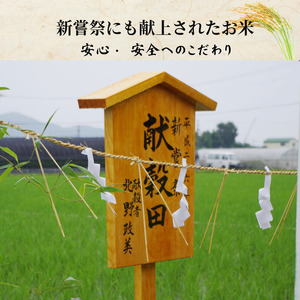 米 コシヒカリ 5kg 天皇献上米 (栽培期間中）化学肥料・農薬不使用米 令和7年産 