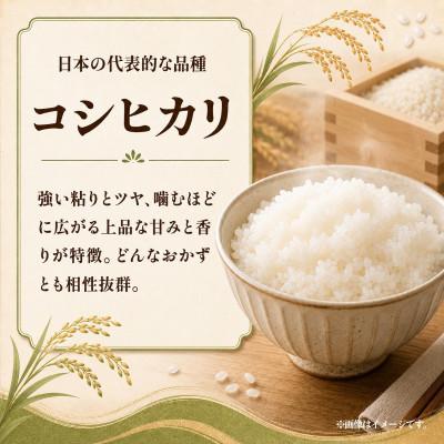 ふるさと納税 ひたちなか市 先行予約　令和8年　ひたちなか市産　コシヒカリ　玄米30kg(30kg×1袋) |  | 01