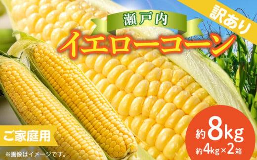 訳あり ご家庭用 瀬戸内イエローコーン 約8kg【2026-6月上旬～2026-7月中旬配送】 372013_T006-144J