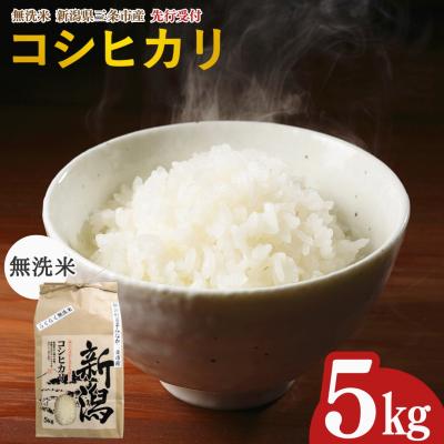 ふるさと納税 三条市 先行受付 新潟県三条市産 コシヒカリ 無洗米 5kg [グリーンファーム渡前] 【017S142】