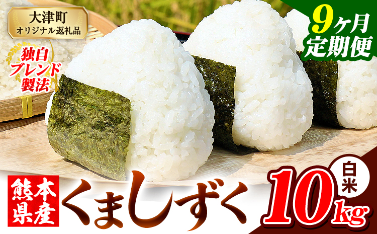 【9ヶ月定期便】熊本県産 ブレンド米 くましずく 白米 10kg《お申込み翌月から出荷》こめ ふるさとのうぜい コメ お米 おこめ