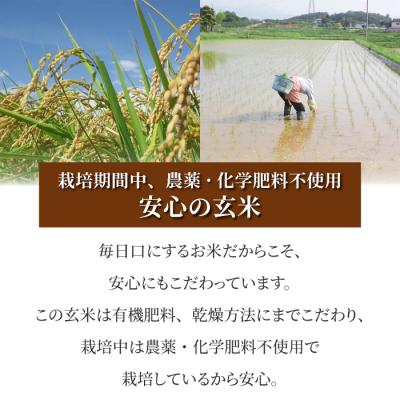 ふるさと納税 東御市 【太陽と大地】令和7年産「八重原産コシヒカリ玄米「極」(栽培期間中農薬化学肥料不使用)8kg」 |  | 03