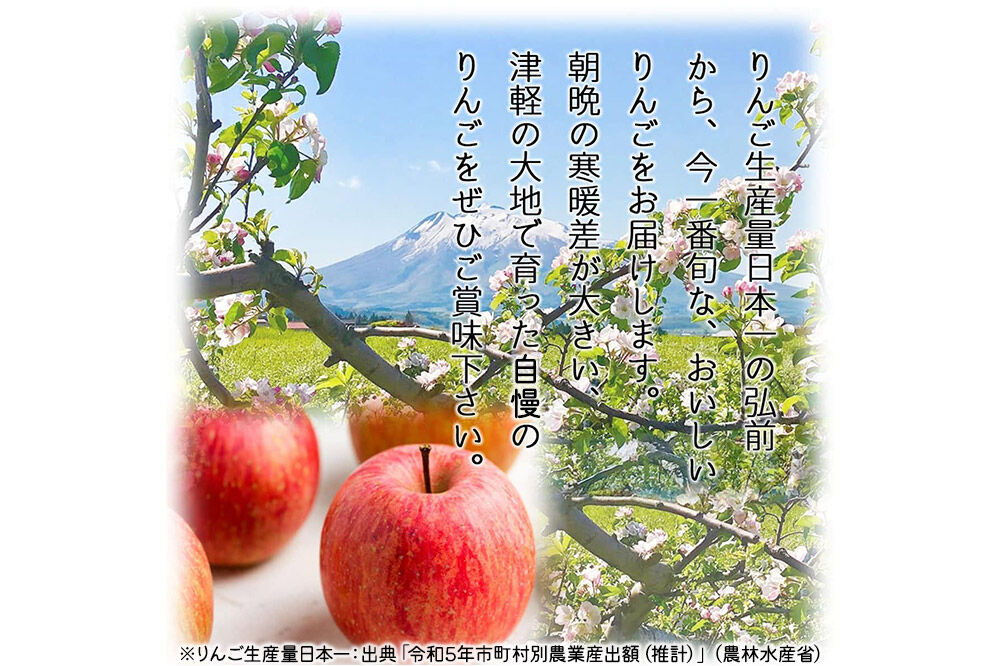 【26年10月下旬〜発送】りんご シナノゴールド【家庭用】約3kg 青森県 弘前市 [先行予約 アップル おいしい ふじ りんご 果実 果物 黄色 津軽 糖度 美味 林檎]