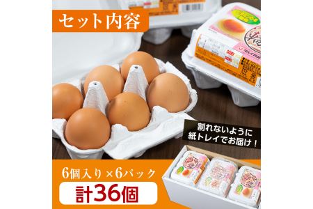 i020 鹿児島県産の赤たまご!マルイの輪(たまご)×36個(6個入り×6パック)養鶏の専門農協で一貫して生産された国産生玉子!【マルイ食品】