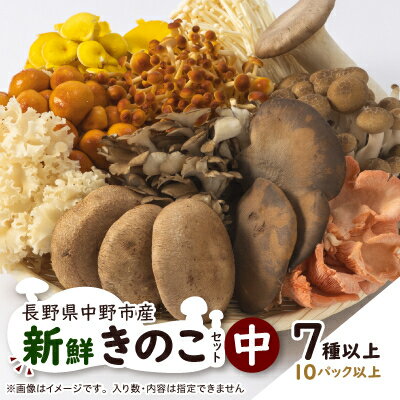【ふるさと納税】キノコでカラダを整える!新鮮きのこ詰め合わせ 中(7種類以上/10パック以上)_ きのこ キノコ セット 詰合せ 食べ比べ 長野県産 国産 えのき しめじ エリンギ 舞茸 なめこ 椎茸 産地直送 まいたけ 【配送不可地域：離島】【1330947】