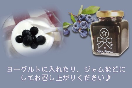 【訳あり】シルクファーム産　冷凍ブルーベリー1500g（500g×3パック）