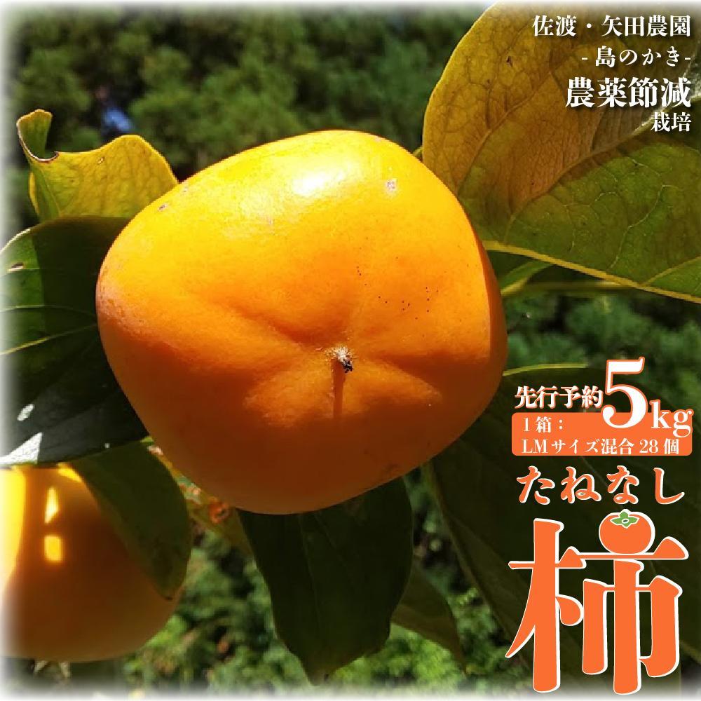 【先行予約】たねなし柿（島のかき）農薬節減栽培　5キロ