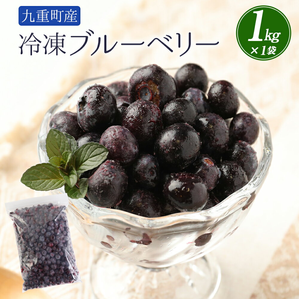 【ふるさと納税】冷凍ブルーベリー 約1kg 約1000g 栽培期間中農薬不使用 ブルーベリー 国産 九州 大分県 九重町産 果物 フルーツ 冷凍フルーツ 家庭用 スムージー ジュース 春 旬 冷凍果物 送料無料