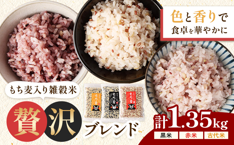 もち麦入り雑穀米 贅沢ブレンド 600g×3種類 各1袋 合同会社くまもとごはん《30日以内に出荷予定(土日祝除く)》熊本県菊池産 残留農薬不検出 真空パック 便利なチャック付 お米 もち麦 雑穀米 
