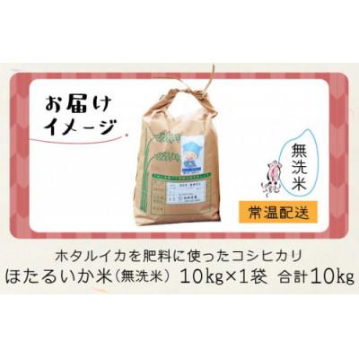 ふるさと納税 滑川市 【ほたるいか米】無洗米　10kg |  | 03