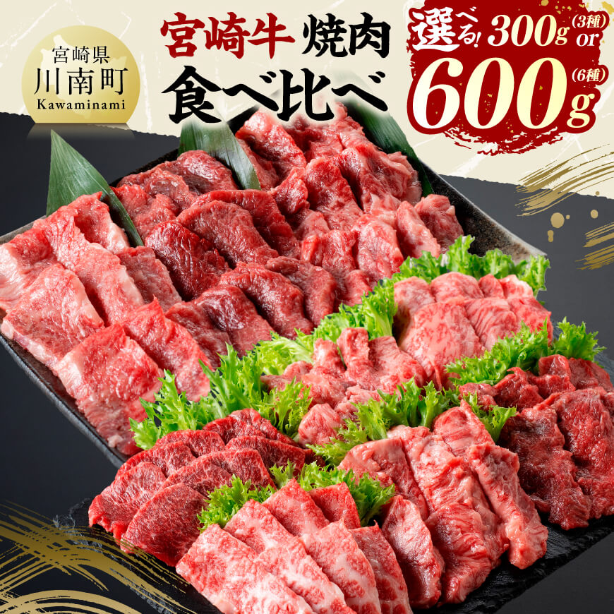 【ふるさと納税】※内容量が選べる※宮崎牛焼肉食べ比べ - 肉 牛肉 国産 宮崎県産 黒毛和牛 和牛 焼肉 バーベキュー 送料無料 D11416 D11417 C11417