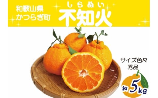 愛情いっぱい不知火サイズ色々約5ｋｇ【秀品】【2026年2月中旬～2026年4月中旬発送】【A-frks191】