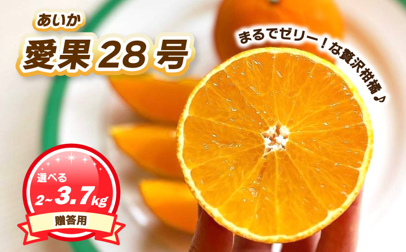
            【12月上旬～1月初旬頃発送予定】 贈答用 愛果28号 2kg / 3.7kg 数量選択可 | あいか ご家庭用 みかん 数量限定 みかん 愛媛県産 みかん 愛果28号 松山市 みかん 愛果28号 みかん 蜜柑 愛果28号 ミカン みかん 旬 愛果28号
          