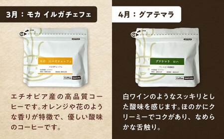 【全12回定期便】世界を旅するコーヒー(粉) / 珈琲 コーヒー / 瀬戸市 / Ｃｏｆｆｅｅ　ＳＡＫＵＲＡ[BBAB151]