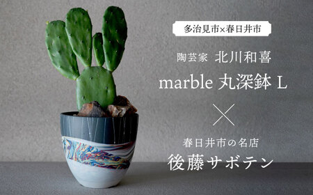 多治見市×春日井市コラボ 【美濃焼】 陶芸家「北川和喜」 marble 丸深鉢 L × 【日本有数のサボテンの生産地】 春日井市の名店 後藤サボテン 【井澤コーポレーション】[TBP173]