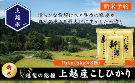 令和7年産 先行予約 新潟県上越産こしひかり 精米 15kg 上越市 米 コメ コシヒカリ